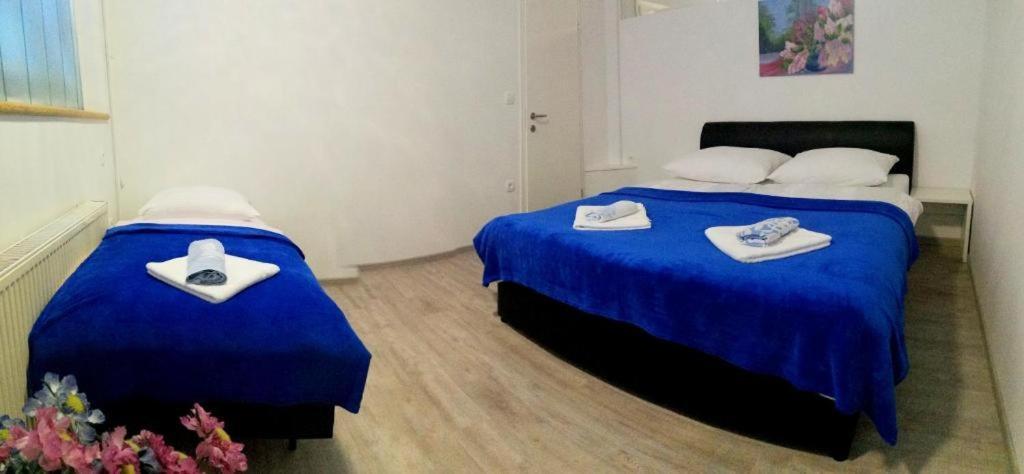 Apartma As Lesce  Exteriér fotografie