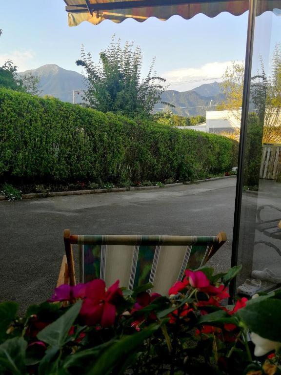 Apartma As Lesce  Exteriér fotografie