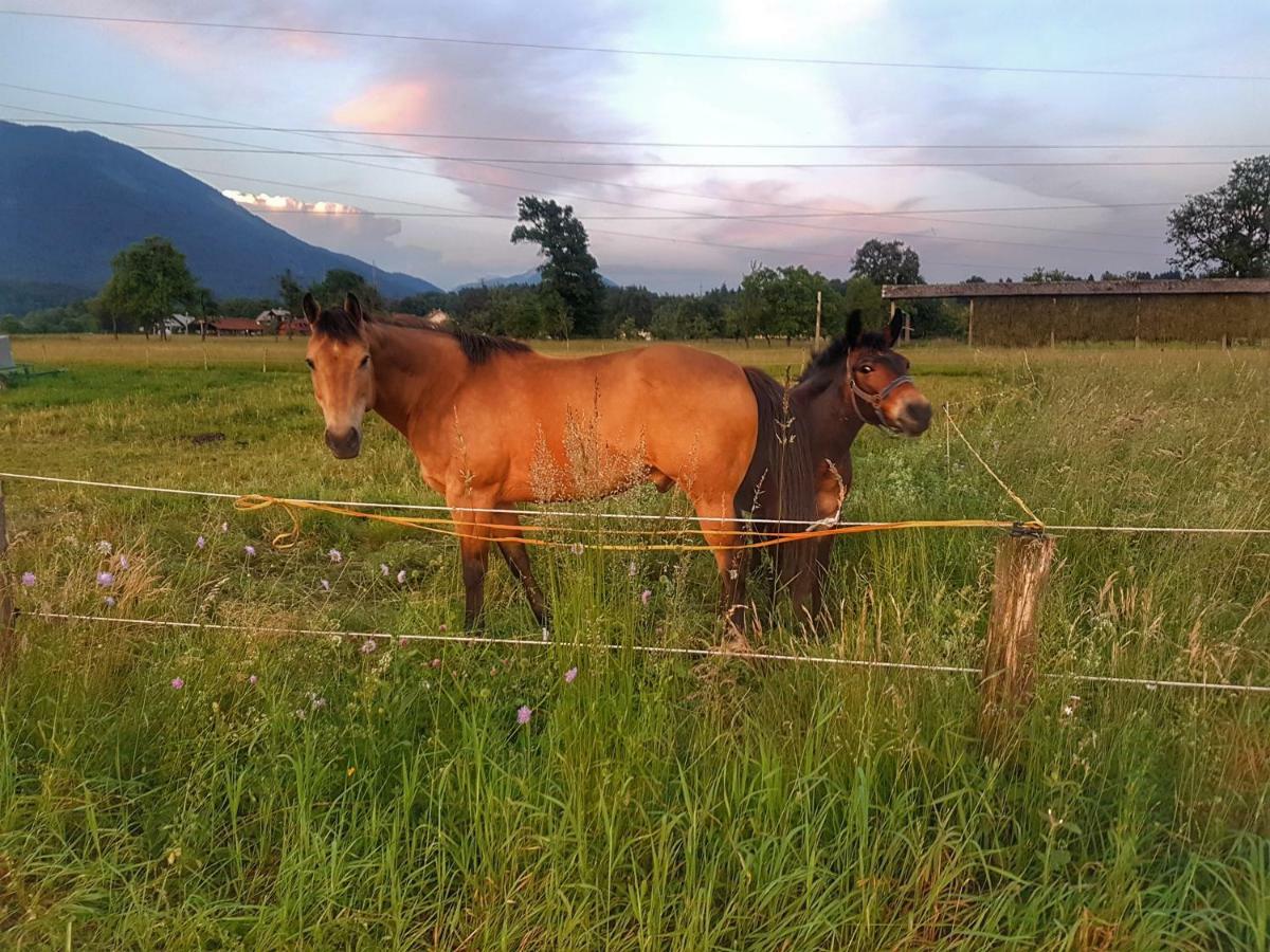 Apartma As Lesce  Exteriér fotografie